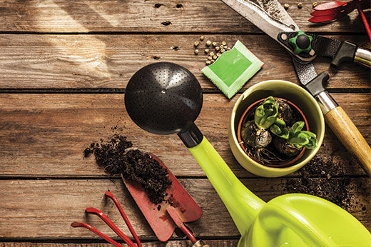 Garden tools on a wooden workbench