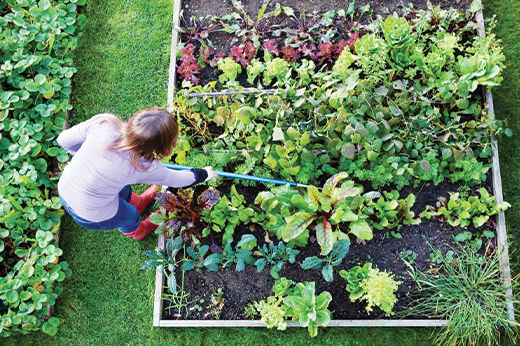 10 Items You Need for a Gardening Starter Kit