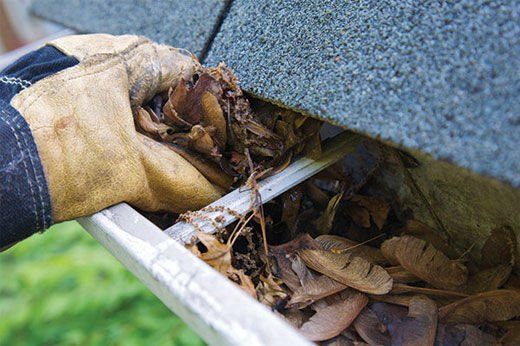 How and Why It's Important to Clean Your Gutters