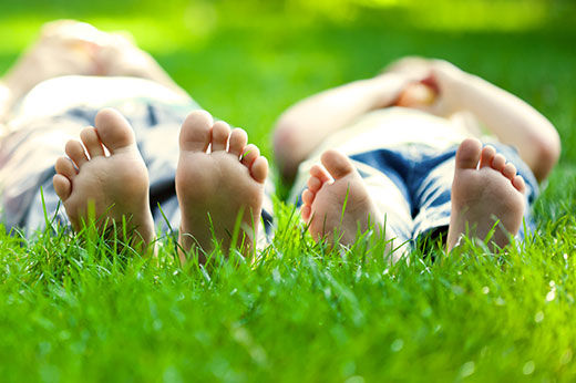 Eco-friendly Lawn Care Tips