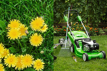 Lawn Care 101: A Beginner's Guide