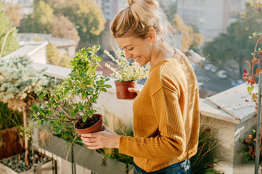 How and When to Move Your Plants Indoors for Winter
