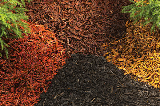  Spruce up Your Yard with Mulch