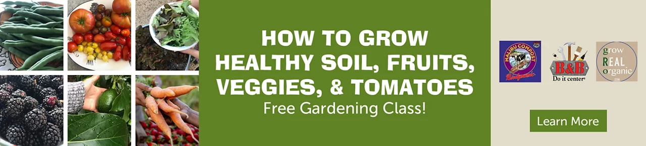 B&B Do it Center, Malibu Compost, and Grow Real Organic. How to grow healthy soil, fruits, veggies, & tomatoes. Free gardening class! Learn more.