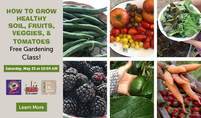 B&B Do it Center, Malibu Compost, and Grow Real Organic. How to grow healthy soil, fruits, veggies, & tomatoes. Free gardening class! Learn more.