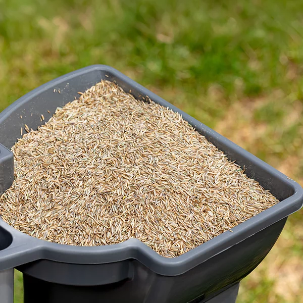 Bulk Grass Seed