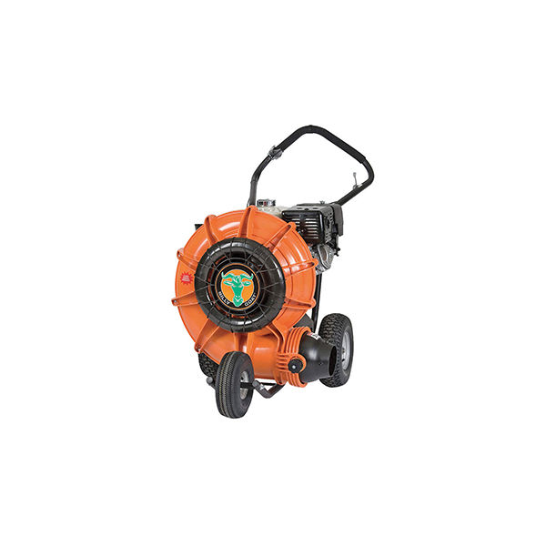 Walk Behind 6HP Blower