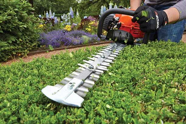 Person using a hedge trimmer to trim the top of a hedge