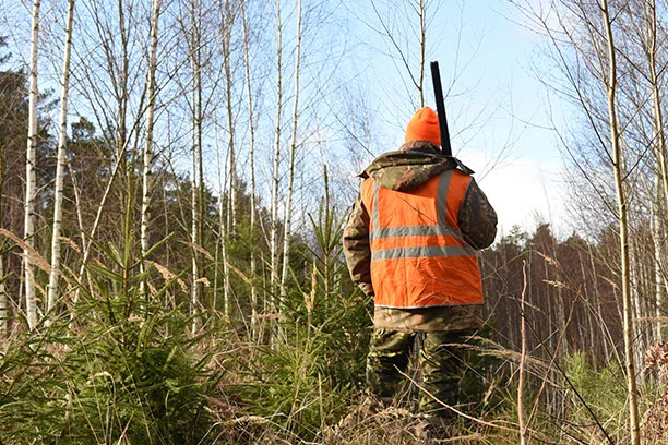 Man walking in high brush in the woods wearing hunter orange hi-vis carrying a rifle over his shoulder