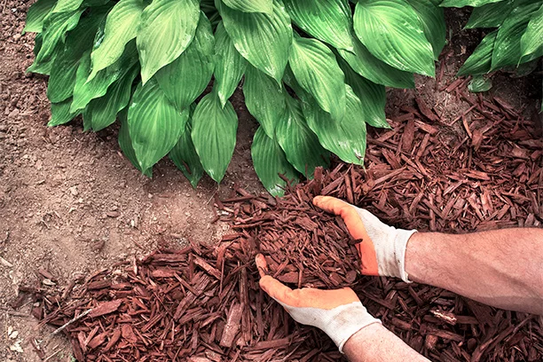 Landscaping Products
