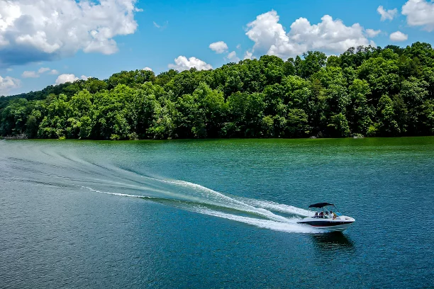 Boat Licenses