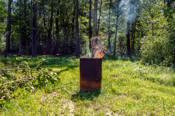 image of leaves in a burn barrel