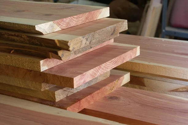 Cedar