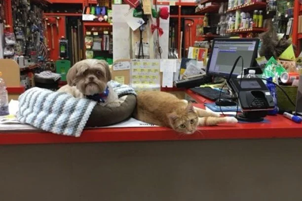 Welcome to our store!