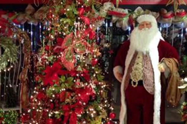 Decorated Tree With Santa
