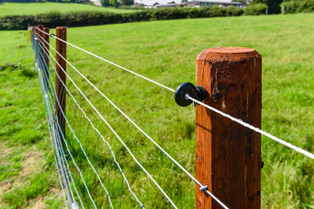 Electric Fence Repair