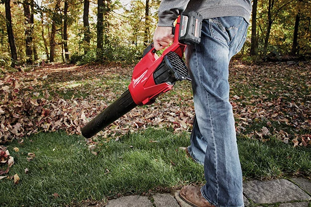 Leaf blower