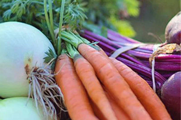 4 Tips To Get Your Garden Ready For Spring