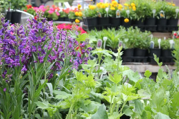 The Back Yard" Garden Center at Northwoods Hardware in Glen Arbor