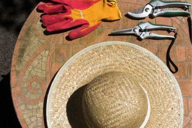 Gardening Starter Kit