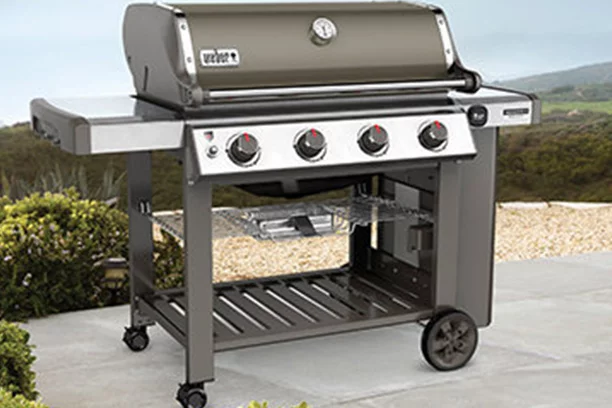 Weber Genesis Series