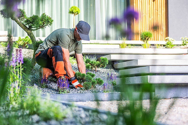 Landscaping
