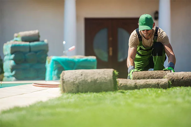 Installing sod