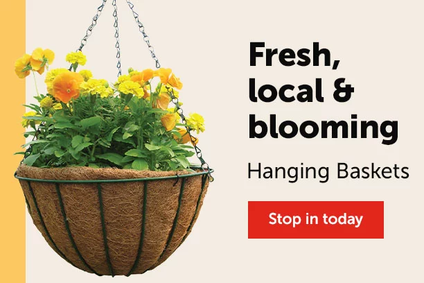Locally Grown Flowers - Visit us today