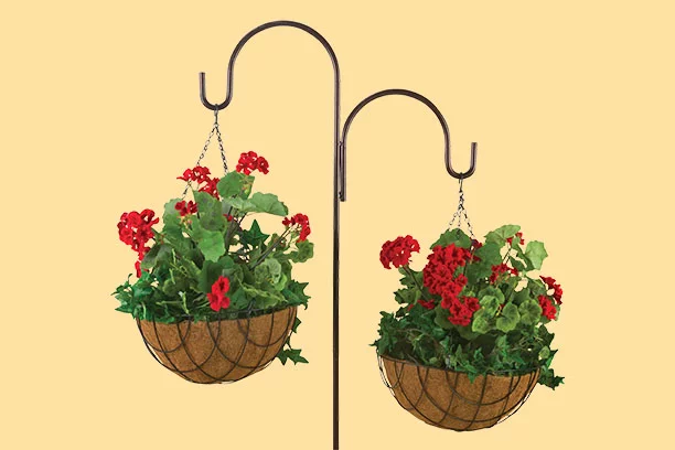 Hanging Baskets - In store now!