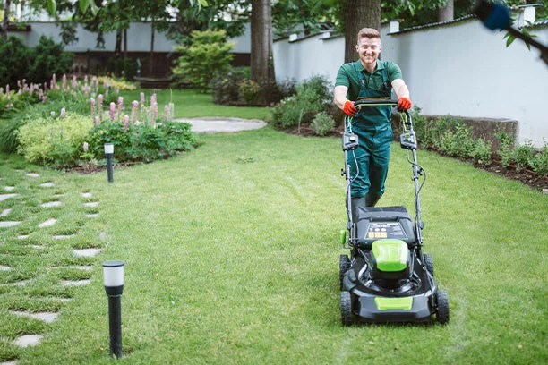 Landscape - Lawn Care