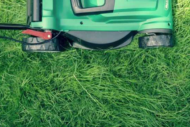 Lawn & Garden