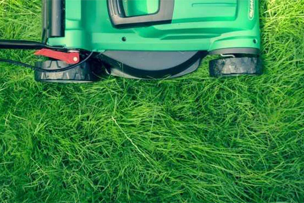 Lawn & Garden