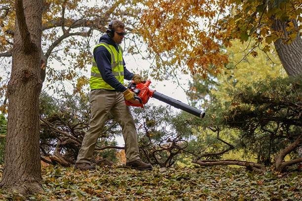 Leaf Blowers
