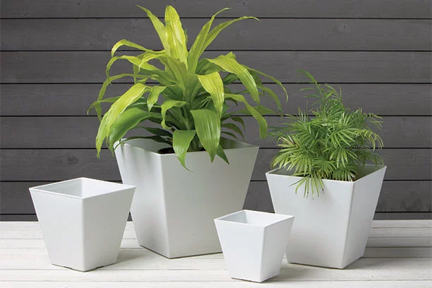 Planters