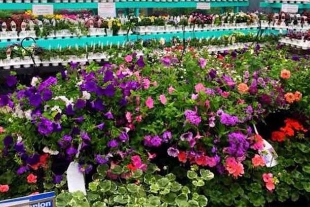 Nursery