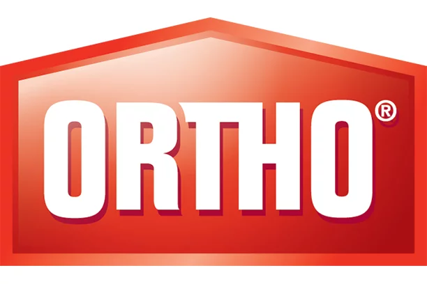 Ortho