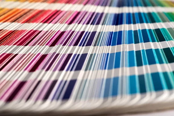 Paint & Paint Supplies