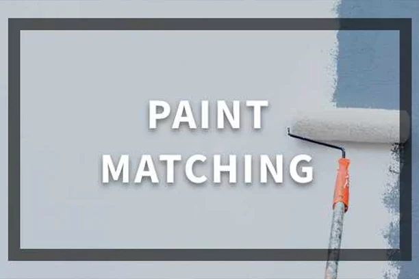 Paint Matching