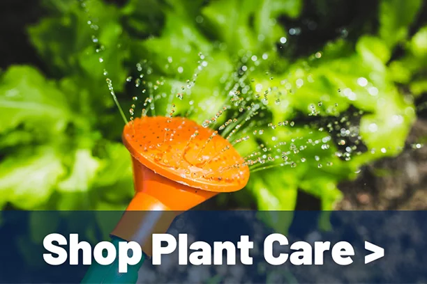 Shop Plant Care