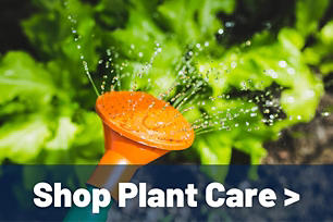Shop Plant Care