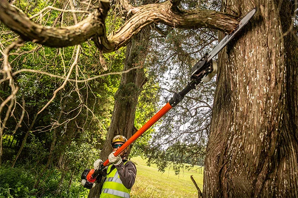Pole Saws