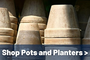 Shop Pots and Planters