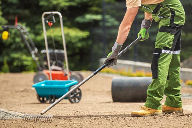 Preparing your lawn for sod