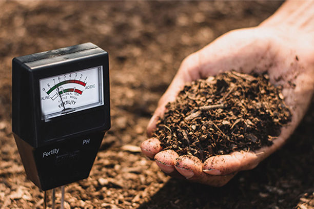 Person holding a handful of soil next to a soil pH tester