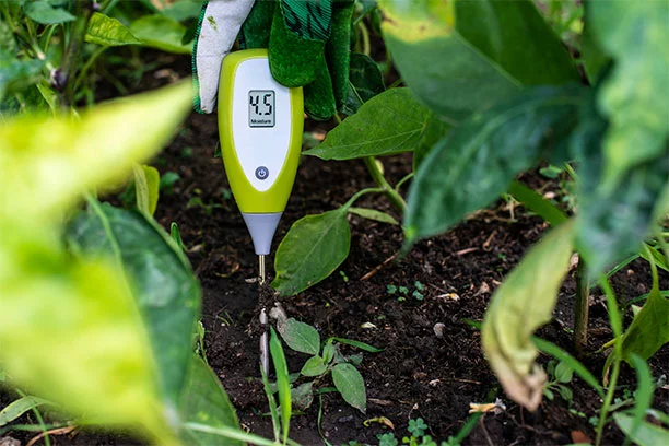 Seasonal Outdoor Garden Center