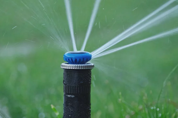 Design - Sprinkler Layouts