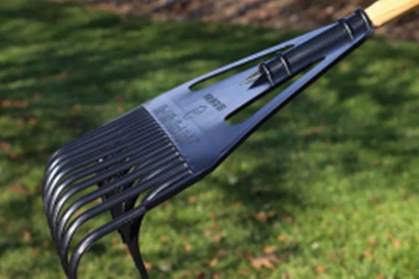 The Little Black Rake