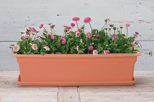 Planters