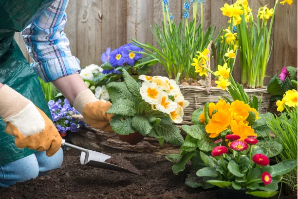 Lawn & Garden