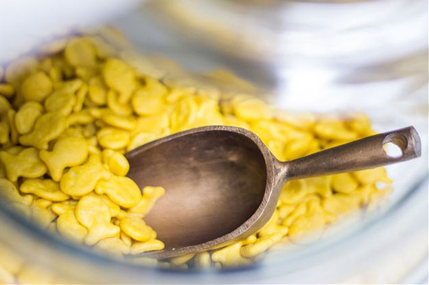 Kitchen scoop